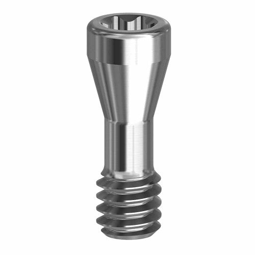 Final Screw 4.8/6.5 (RN/WN) 19.026