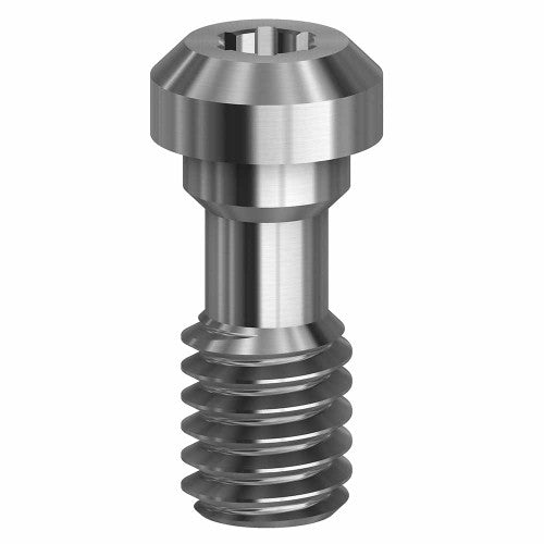 Final Screw 5.0 (WP) 19.029