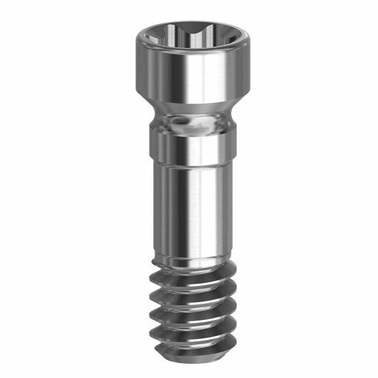 Screw for BLX 19.054