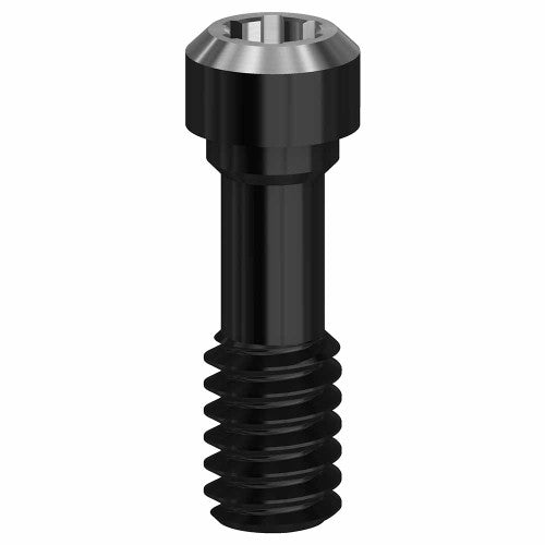 DLC Final Screw 4.1 (RP) 19.228