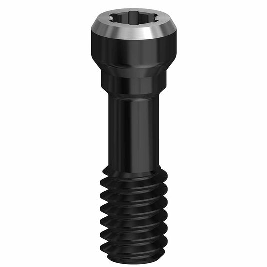 DLC Final Screw 4.3/5.0/5.5 (RP/WP) 19.230