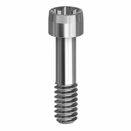 Screw for ElliptiBase 3.0 19.468