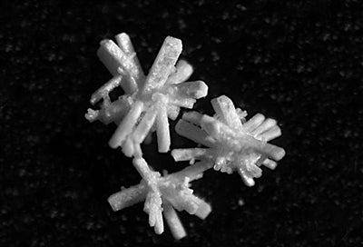 OsteoGen® Synthetic Bioactive Resorbable Calcium Apatite Graft