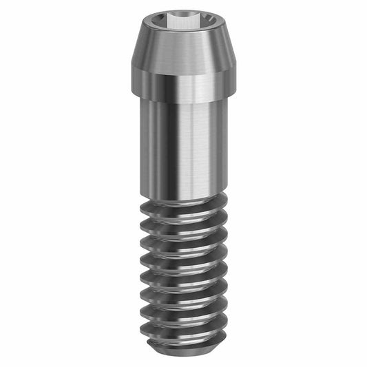 Final Screw 4.8/5.4 19.061