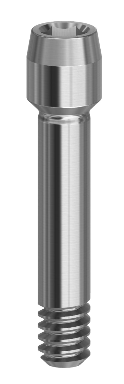 Final Screw Mini 19.072