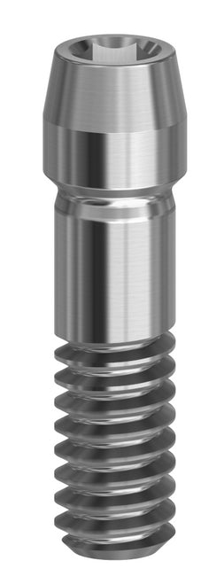 Final Screw Standard 19.073