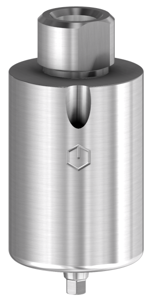 Angulated Screw Channel Premilled Titanium Blank (Corner)(25deg) 61.340