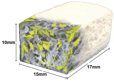 OsteoGen® Malleable Bone Block 10mm x 15mm x 17mm (Box of 2)