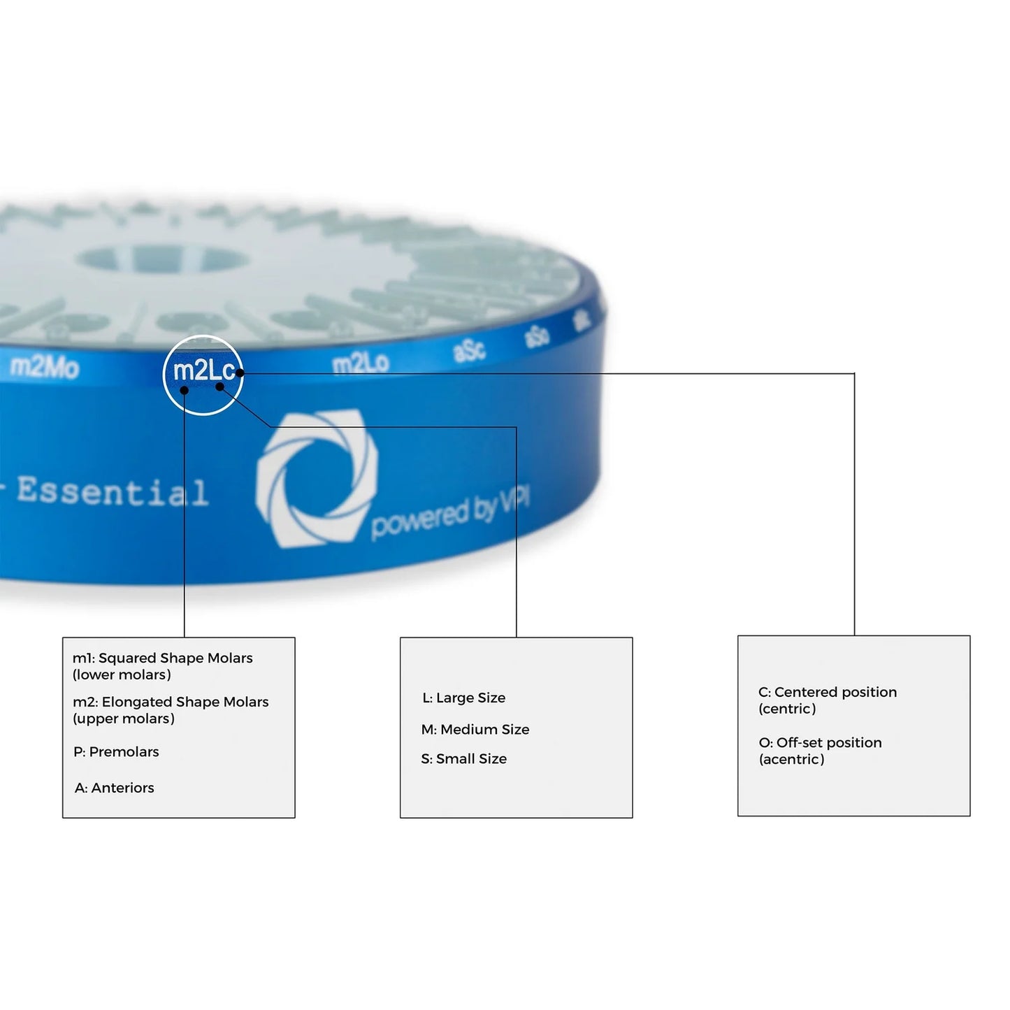Cervico Essential Kit (Includes Cervico Guide)